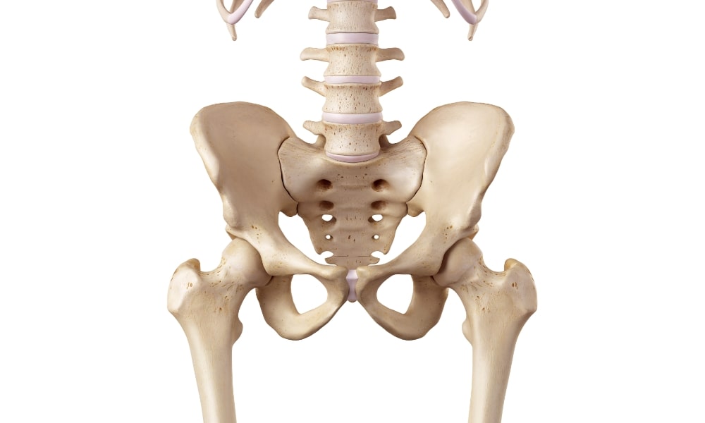 腰痛と股関節・骨盤の関係