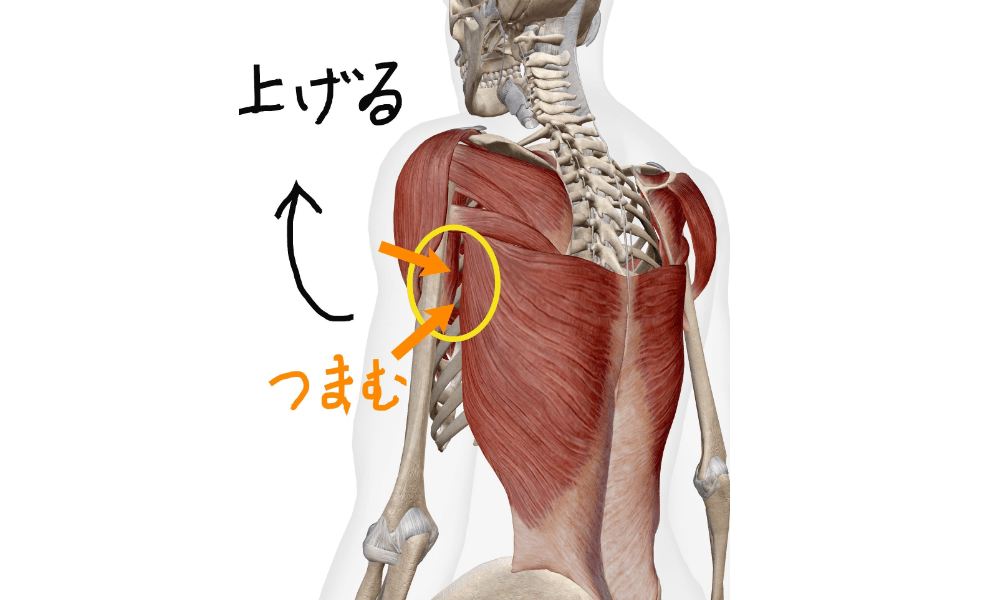 ぎっくり腰の治し方２